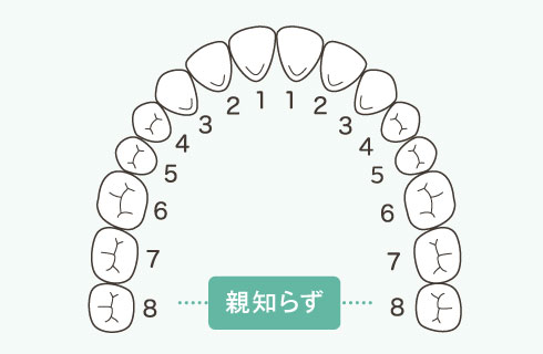 親知らず